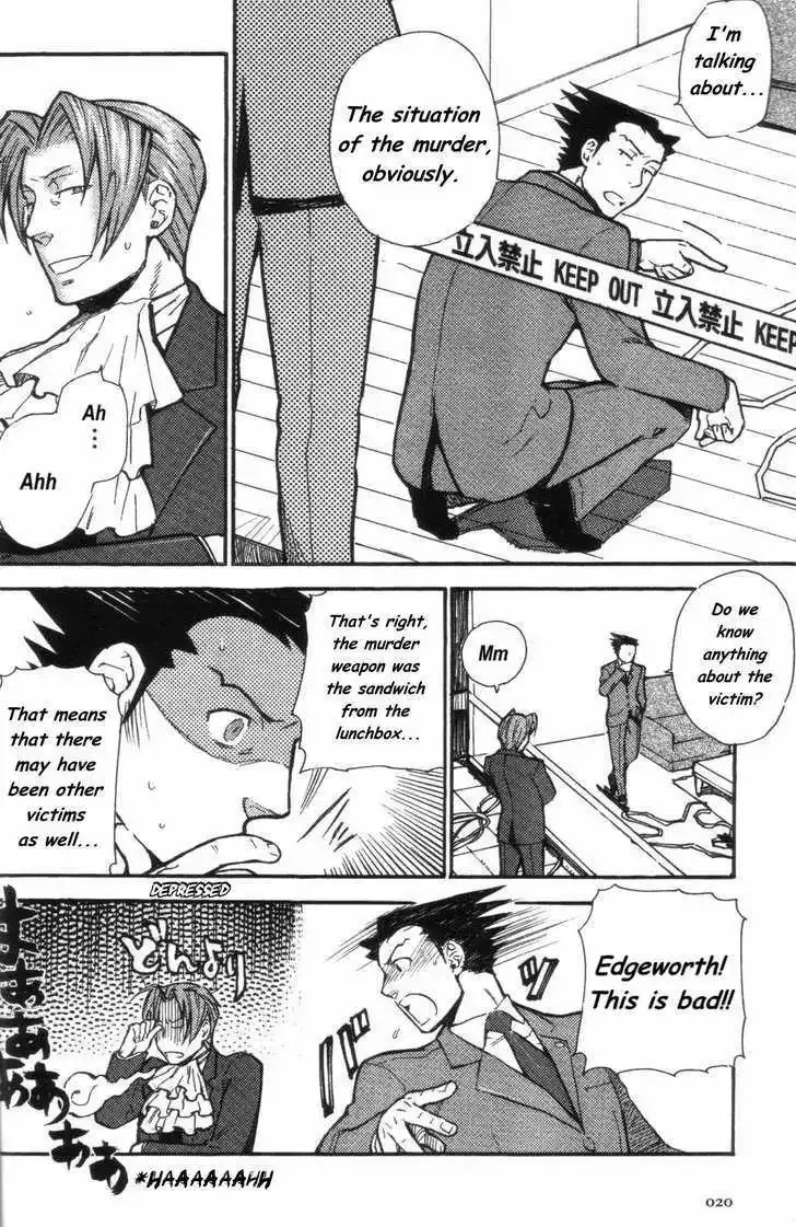 Phoenix Wright: Ace Attorney Chapter 6 page 17 - 
