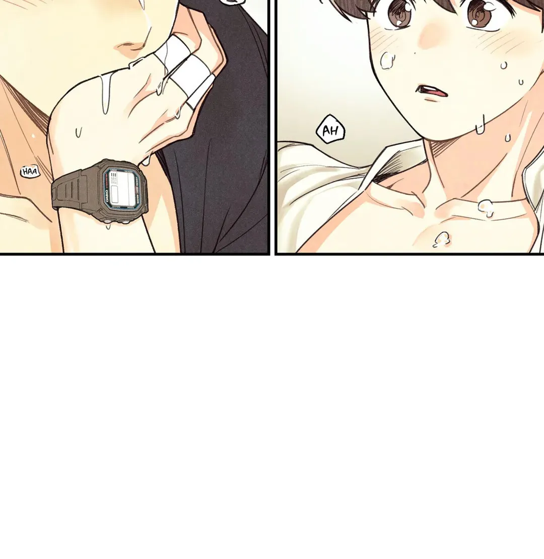Read Pian Pian chapter 15 image 2 on Lezhin