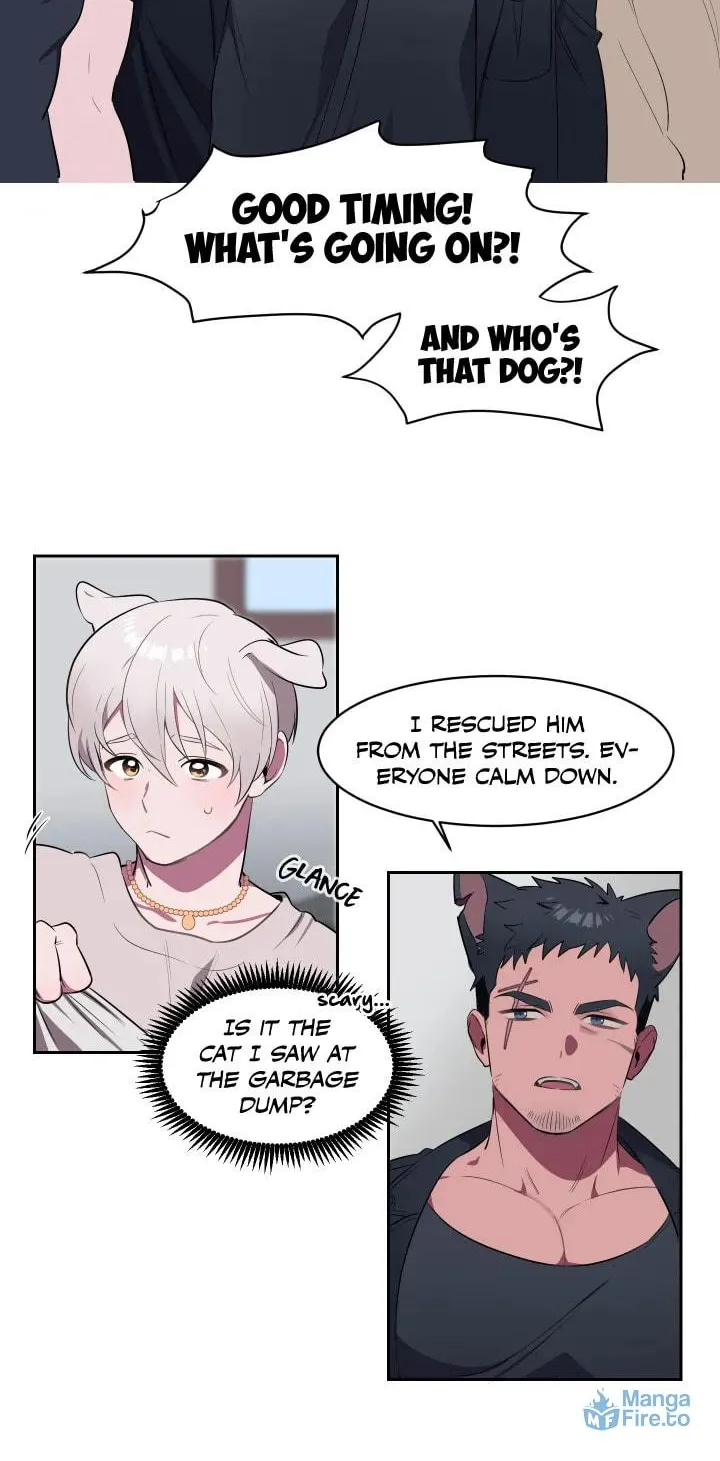 Read Pick Up Love chapter 1 image 20 on Lezhin