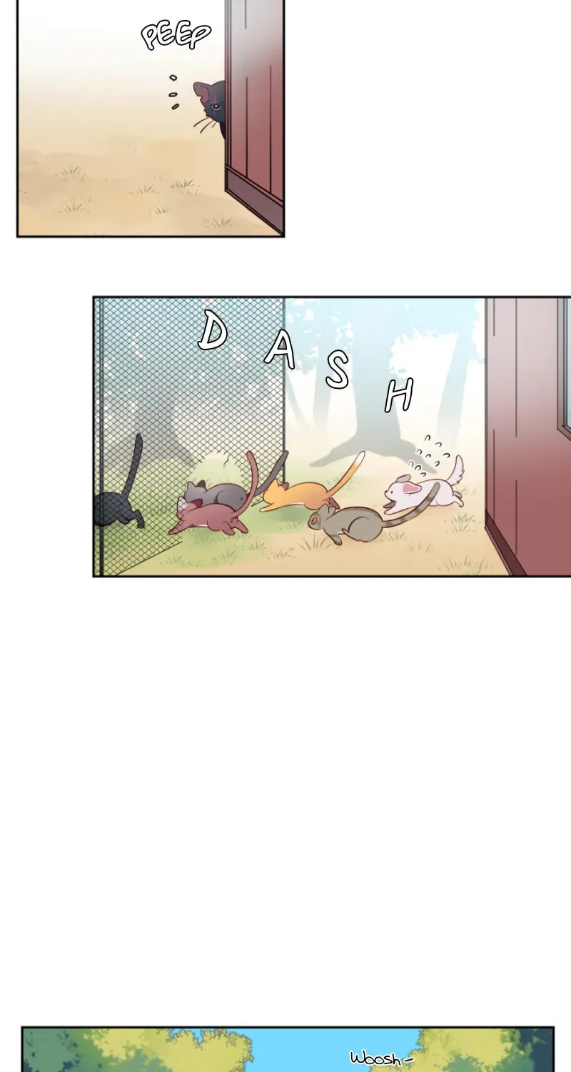 Read Pick Up Love chapter 2 image 13 on Lezhin