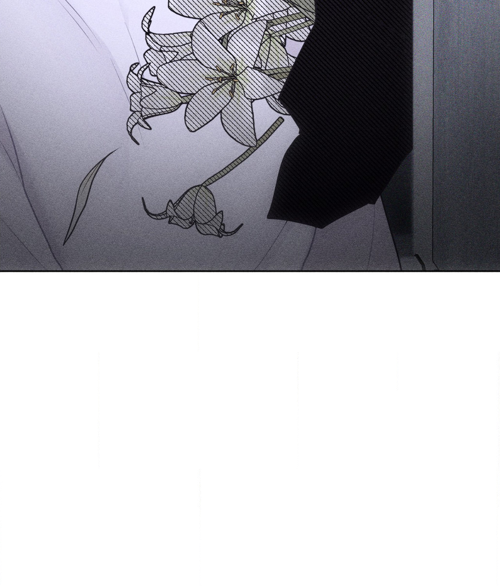 Pieces of Us Chapter 49 page 36 - 