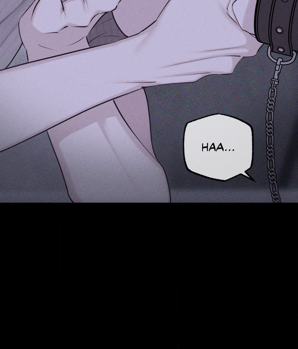 Pieces of Us Chapter 52 page 153 - 