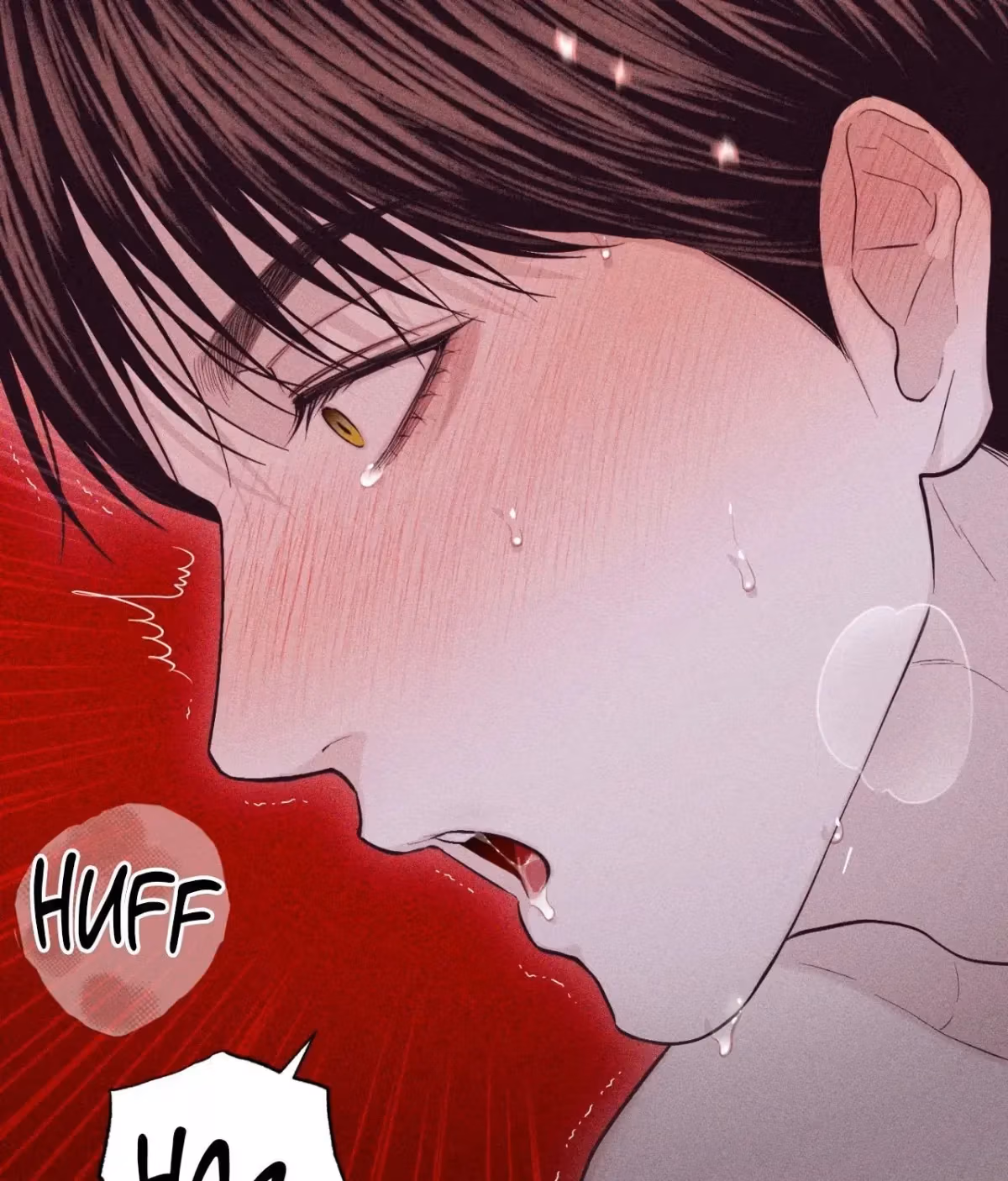 Pieces of Us Chapter 75.5 page 195 - 