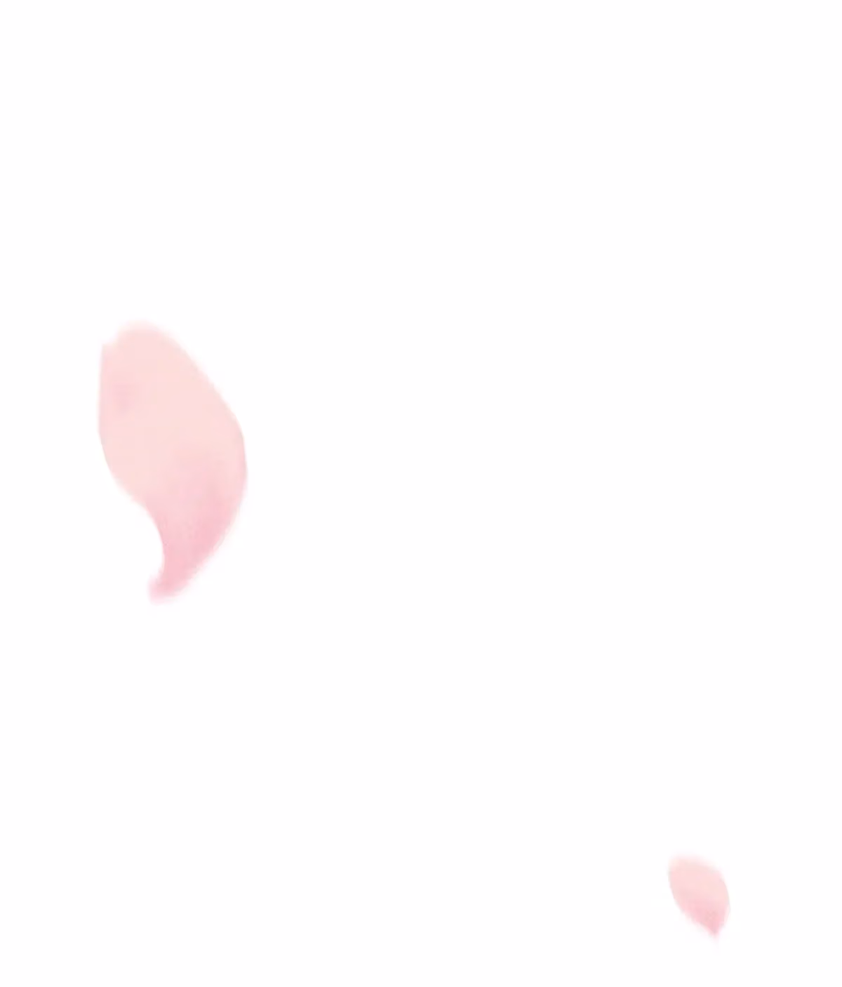 Pieces of Us Chapter 75 page 54 - 