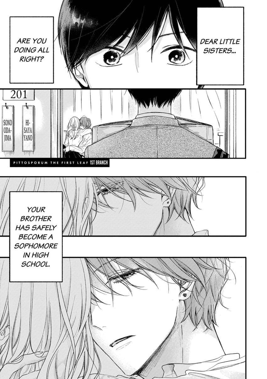 Read Pittosporum chapter 0 image 1 on Lezhin