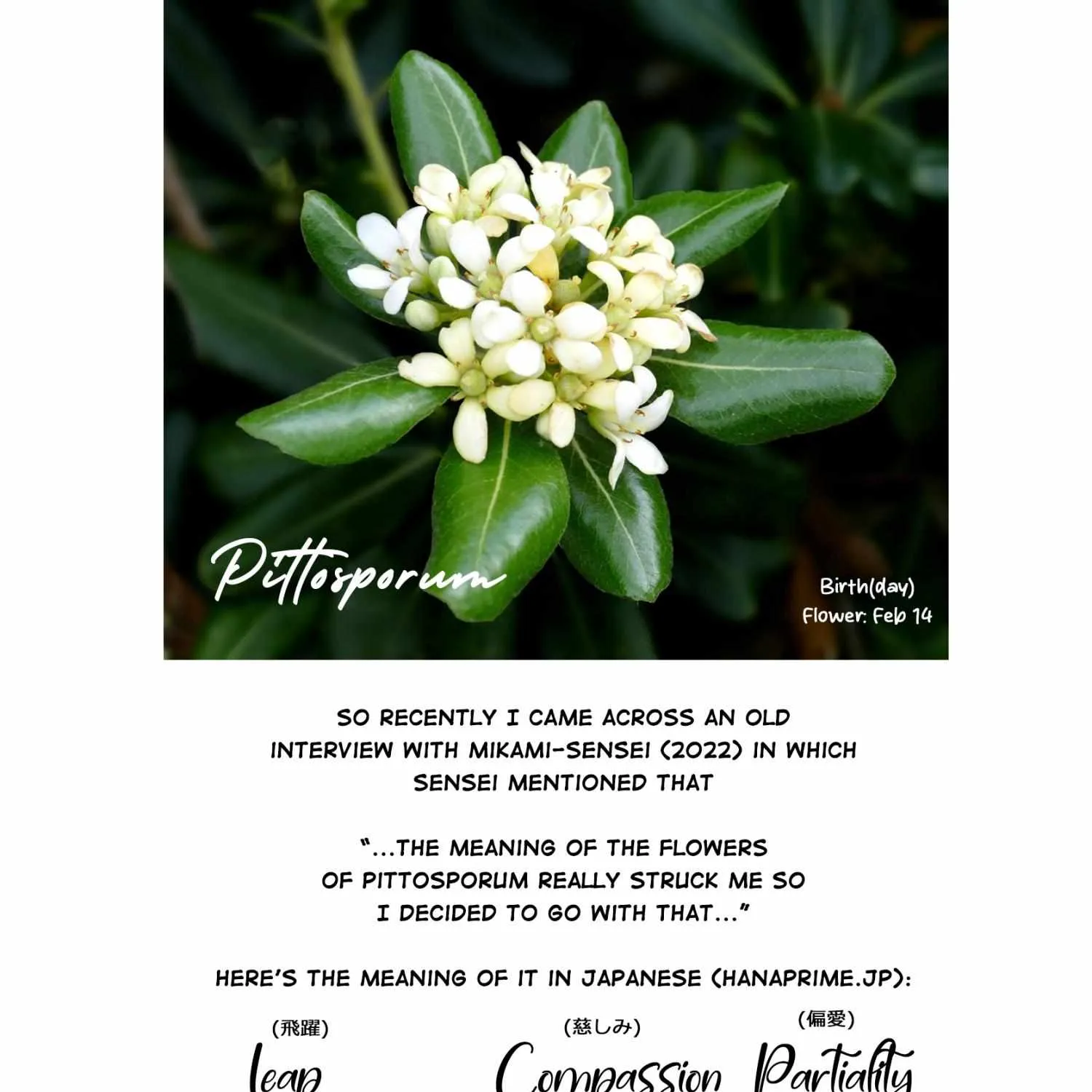 Read Pittosporum chapter 1.5 image 13 on Lezhin