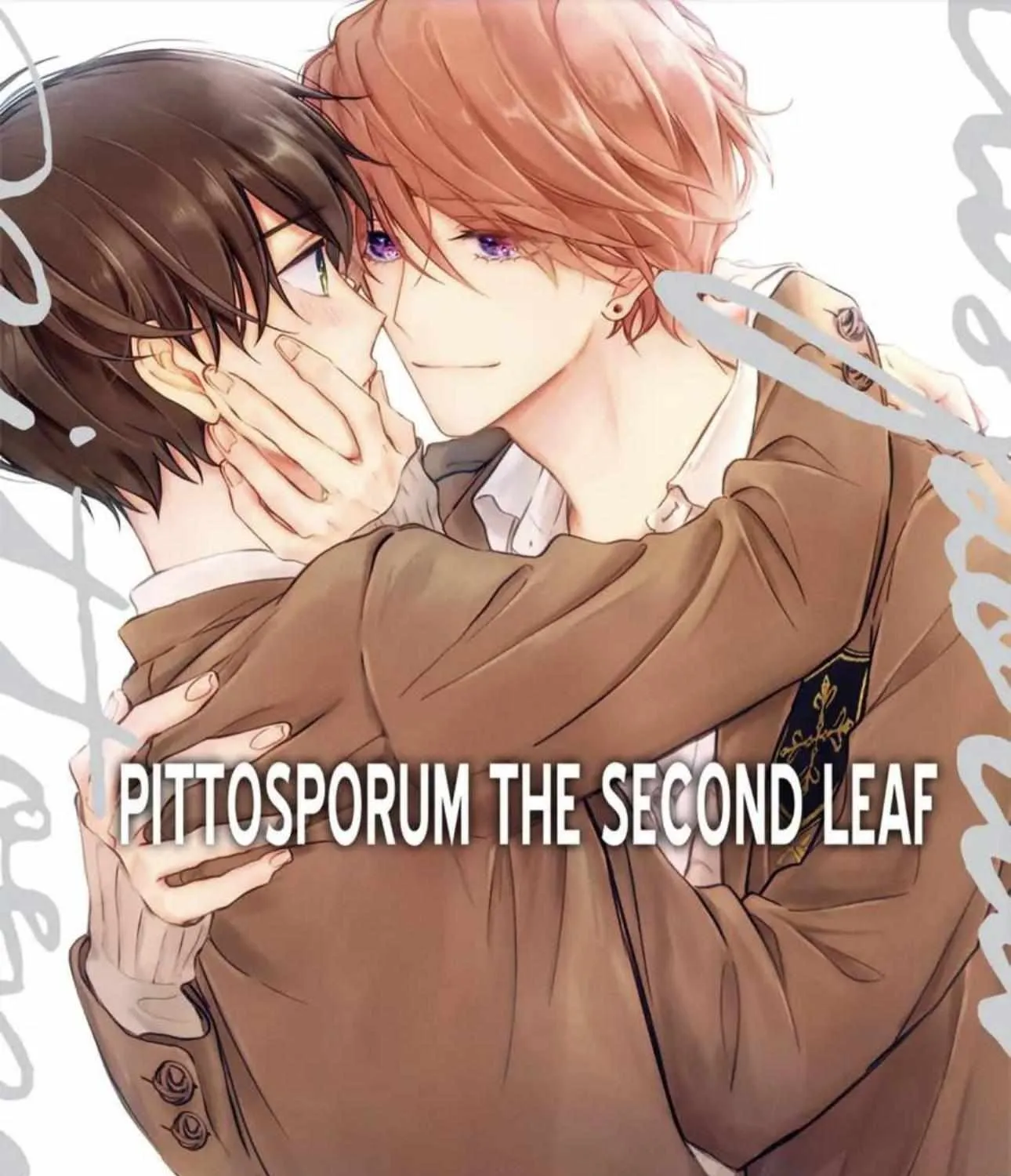 Read Pittosporum chapter 13 image 1 on Lezhin