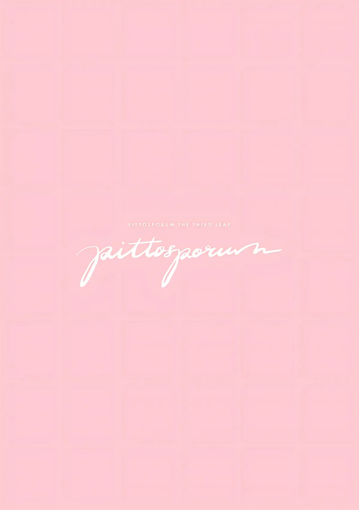 Read Pittosporum chapter 14 image 167 on Lezhin