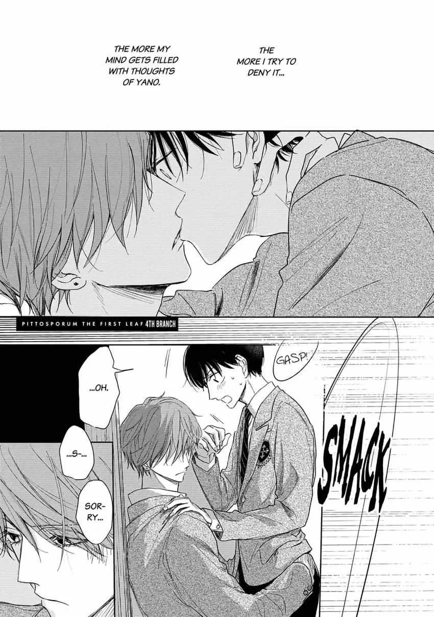 Read Pittosporum chapter 5 image 3 on Lezhin