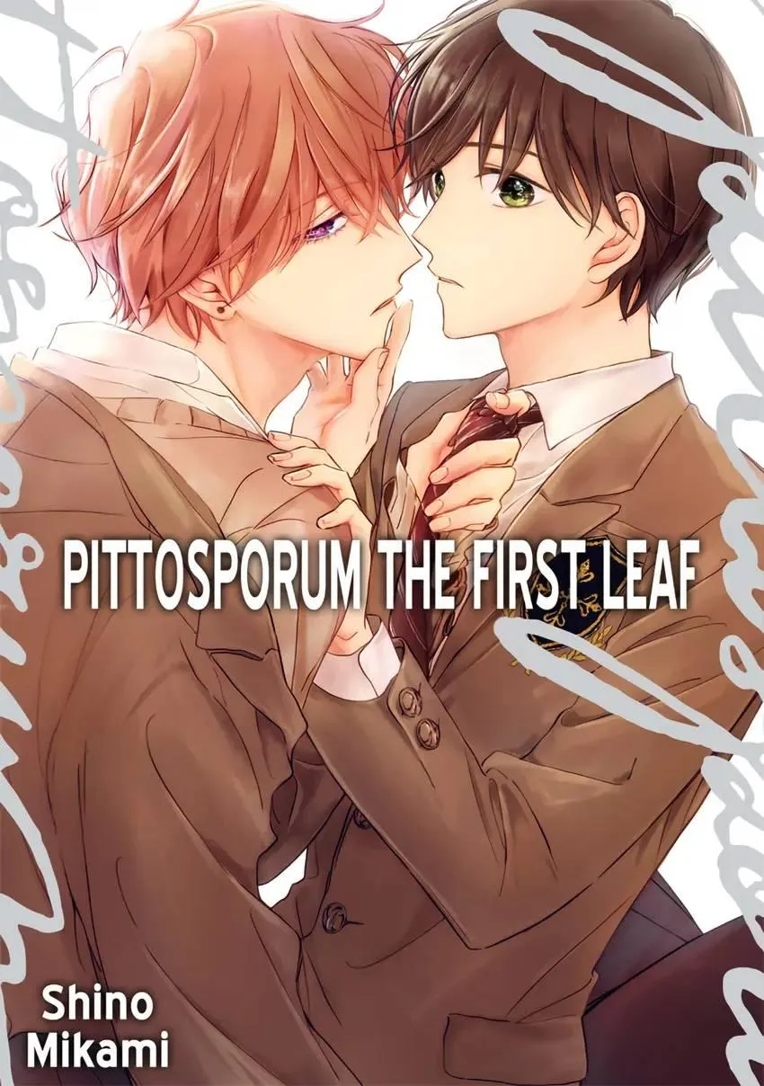 Read Pittosporum chapter 6 image 2 on Lezhin