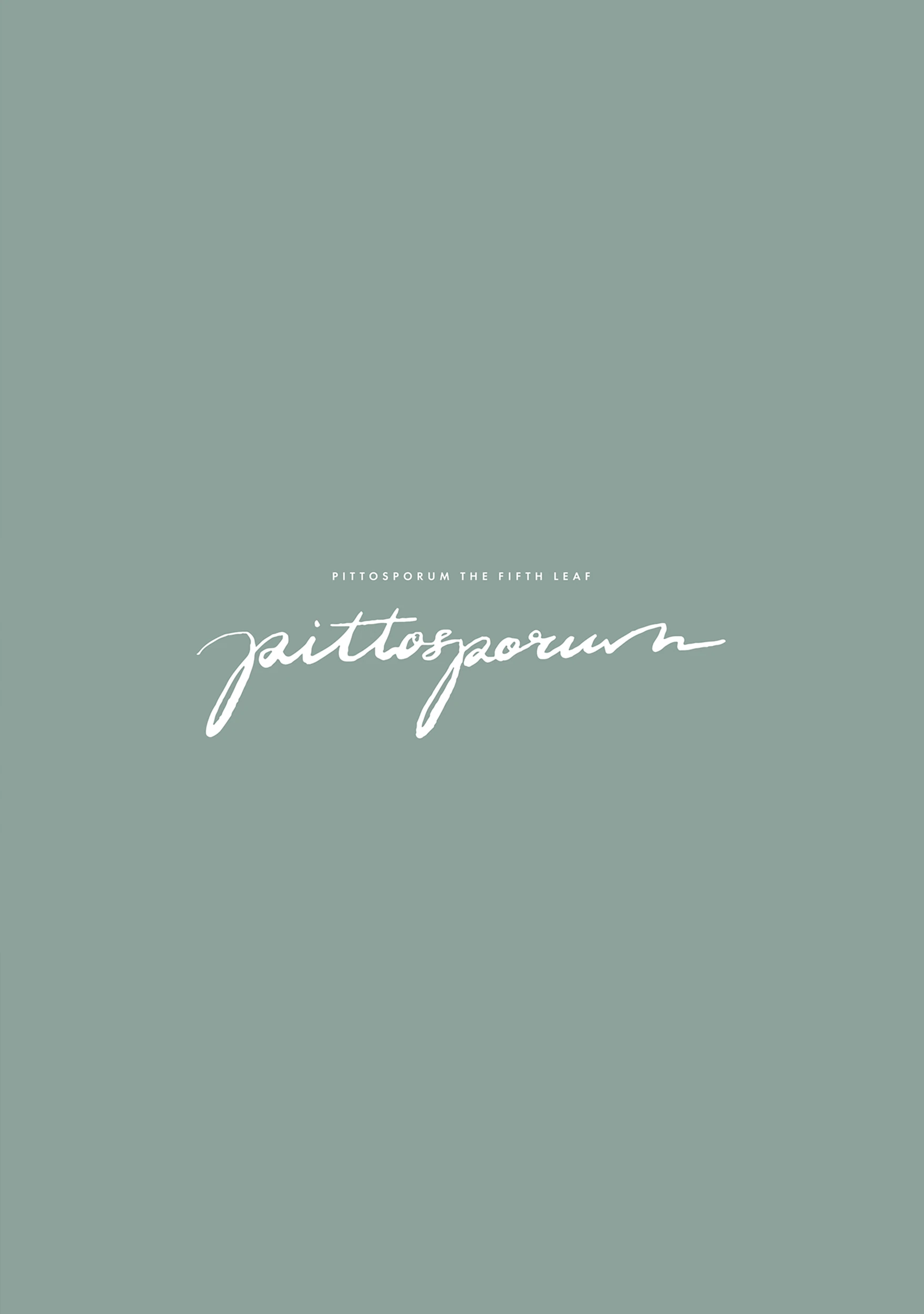 Read Pittosporum chapter 8.6 image 13 on Lezhin