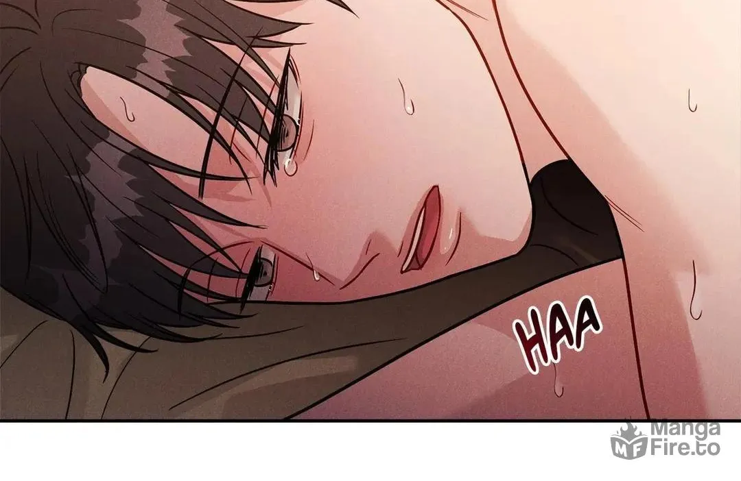 Read PLACEBO: Let