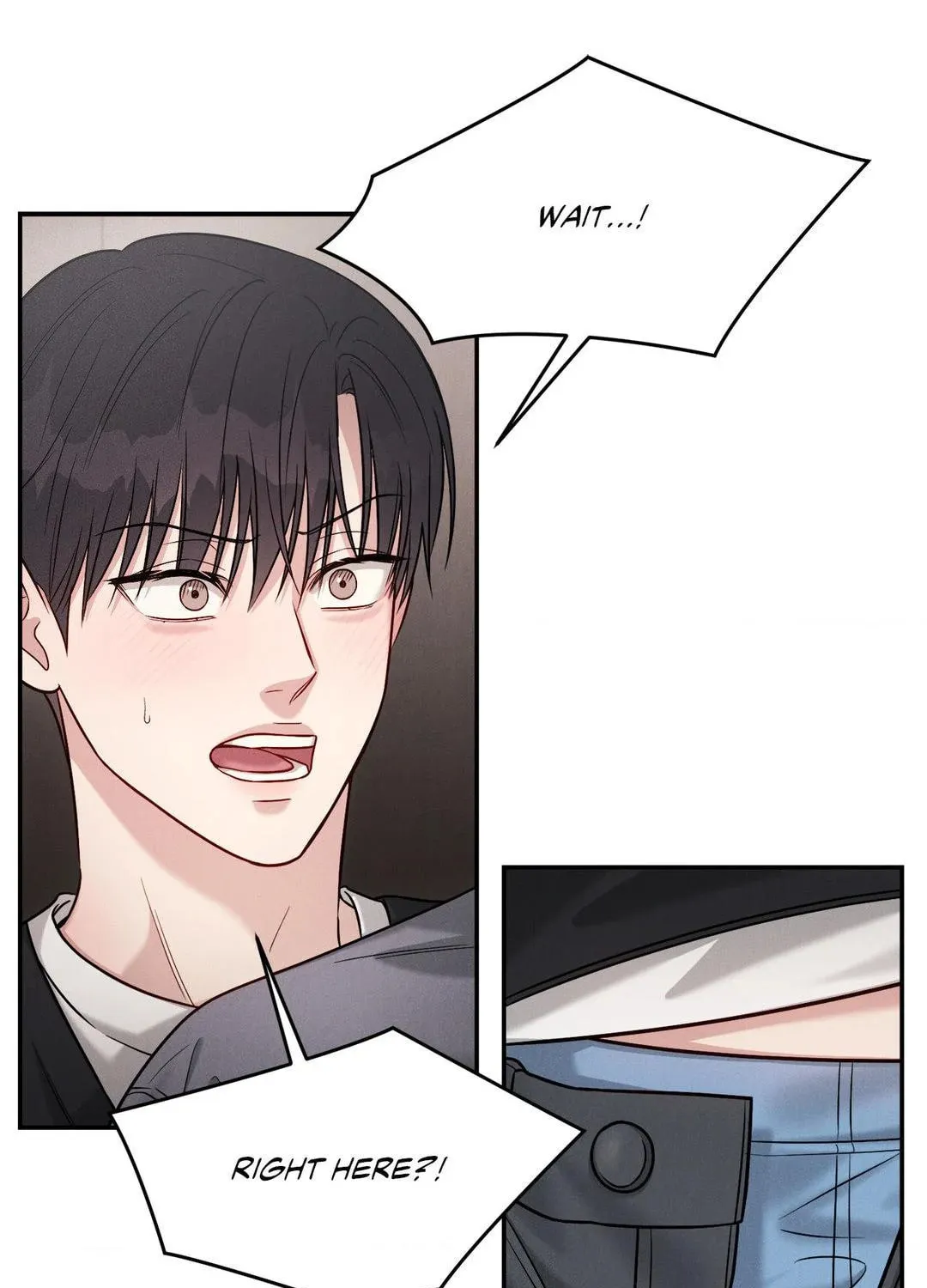 Read PLACEBO: Let
