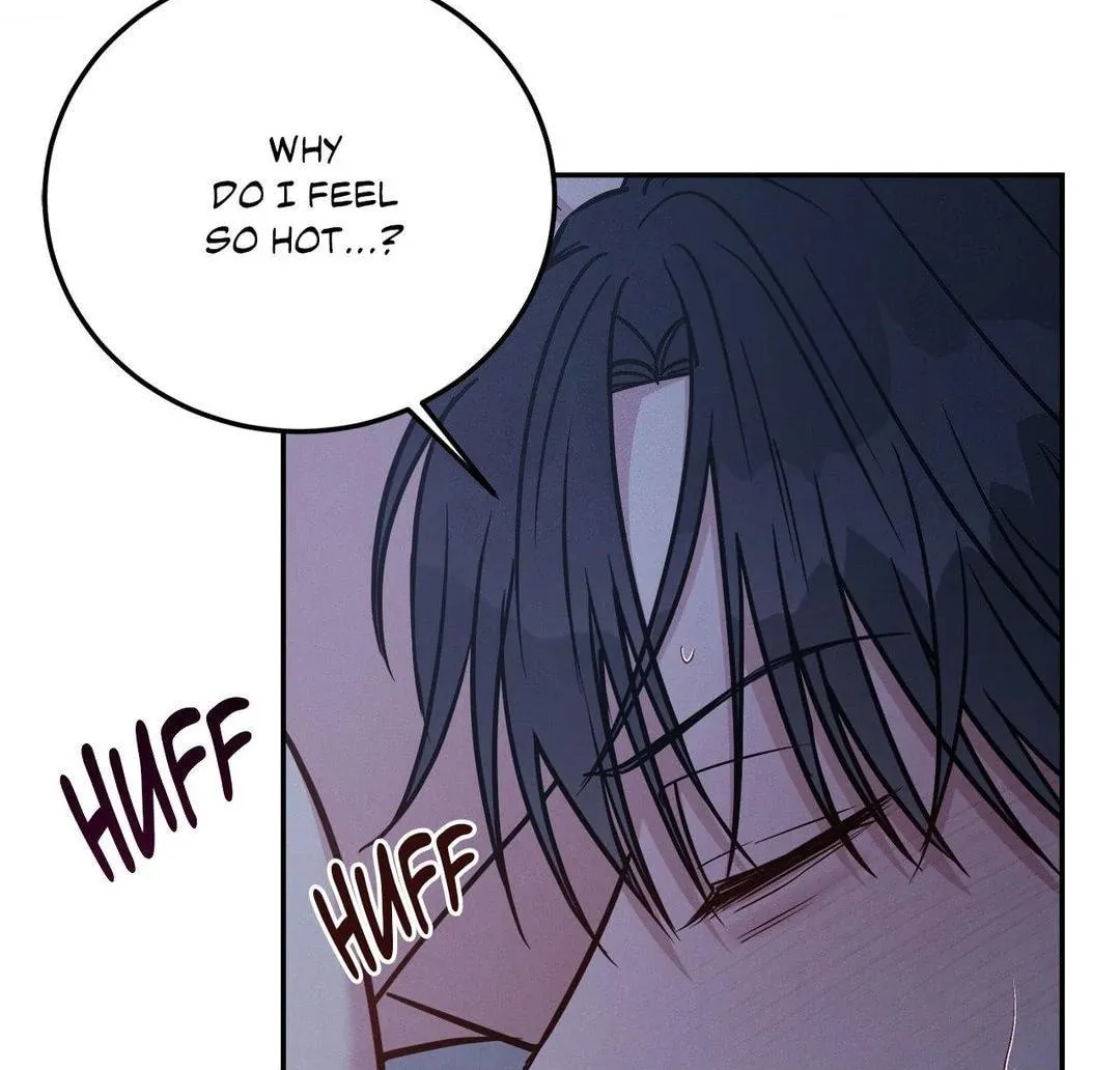 Read PLACEBO: Let
