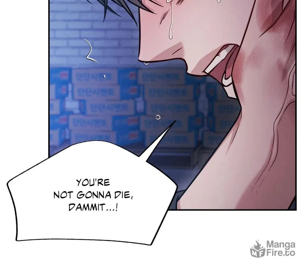 Read PLACEBO: Let