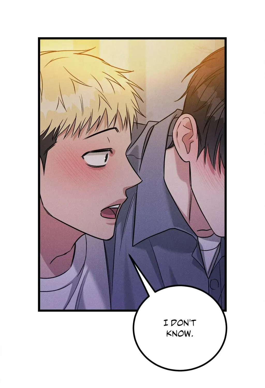 Read PLACEBO: Let