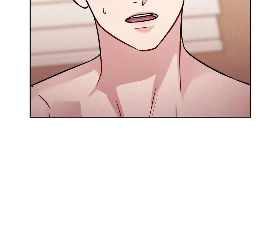 Read PLACEBO: Let