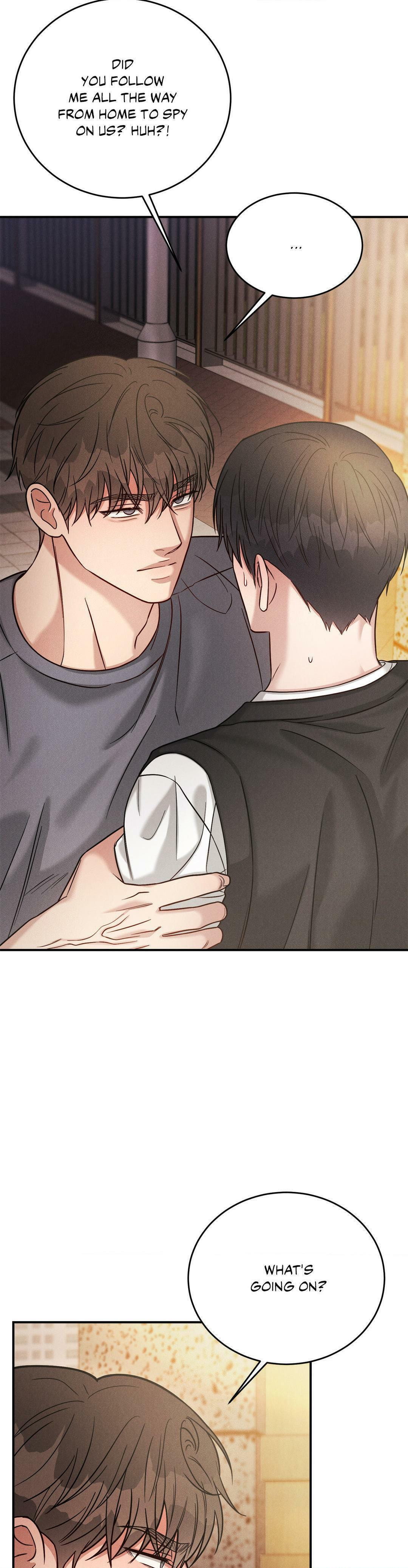 Read PLACEBO: Let