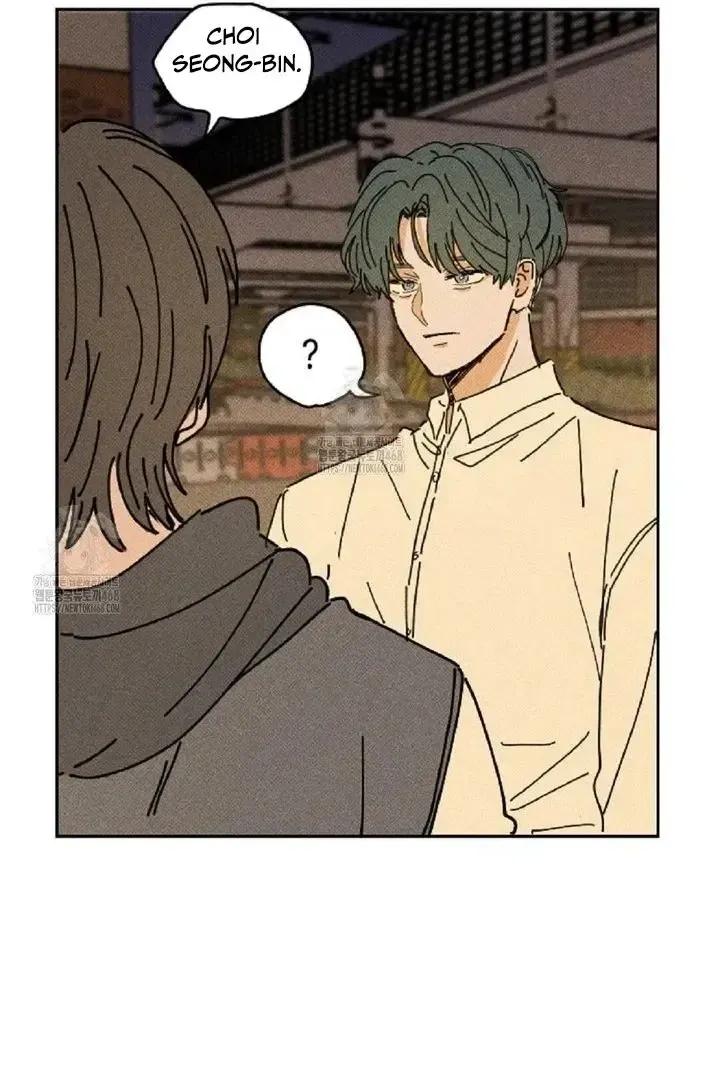 Read Plaything Senior chapter 3 image 19 on Lezhin