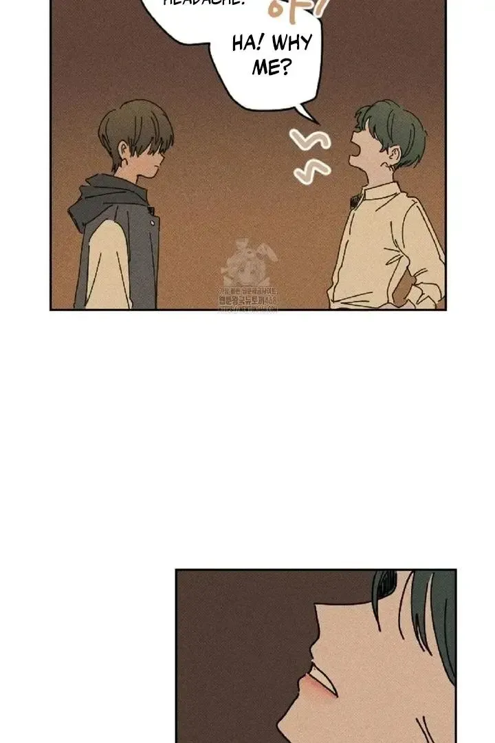 Read Plaything Senior chapter 3 image 29 on Lezhin