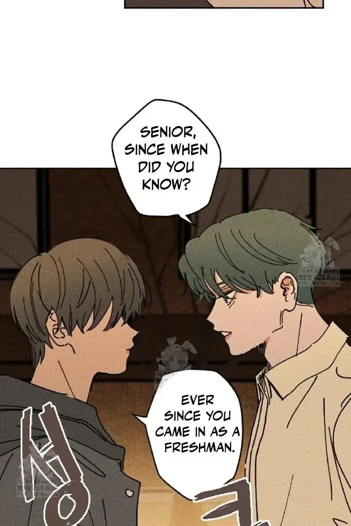 Read Plaything Senior chapter 3 image 30 on Lezhin