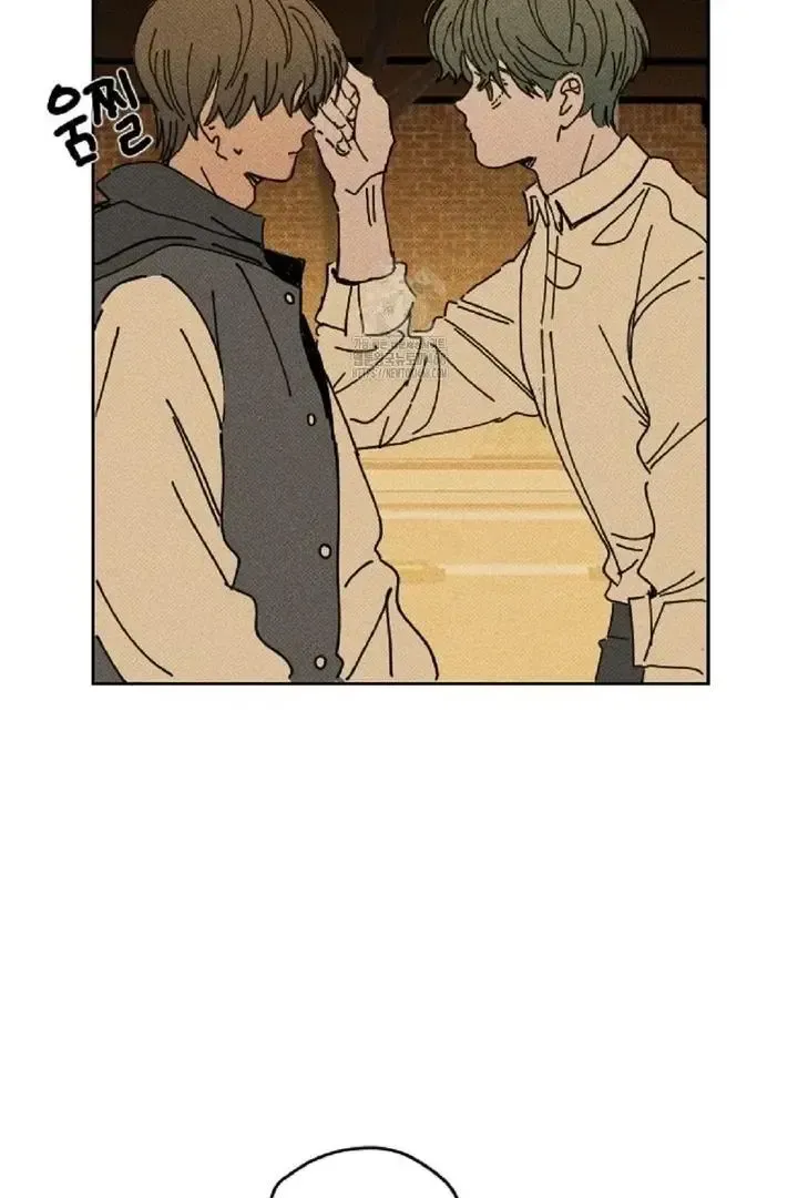 Read Plaything Senior chapter 3 image 41 on Lezhin