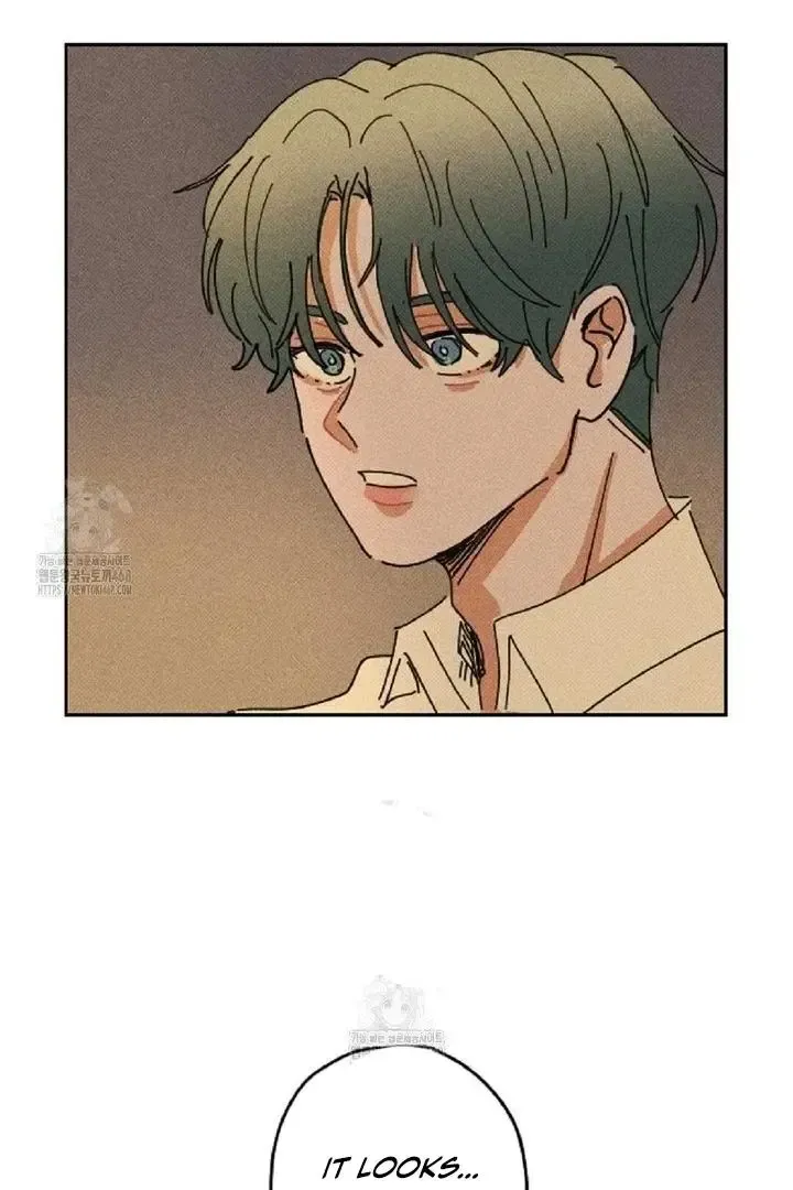 Read Plaything Senior chapter 3 image 43 on Lezhin