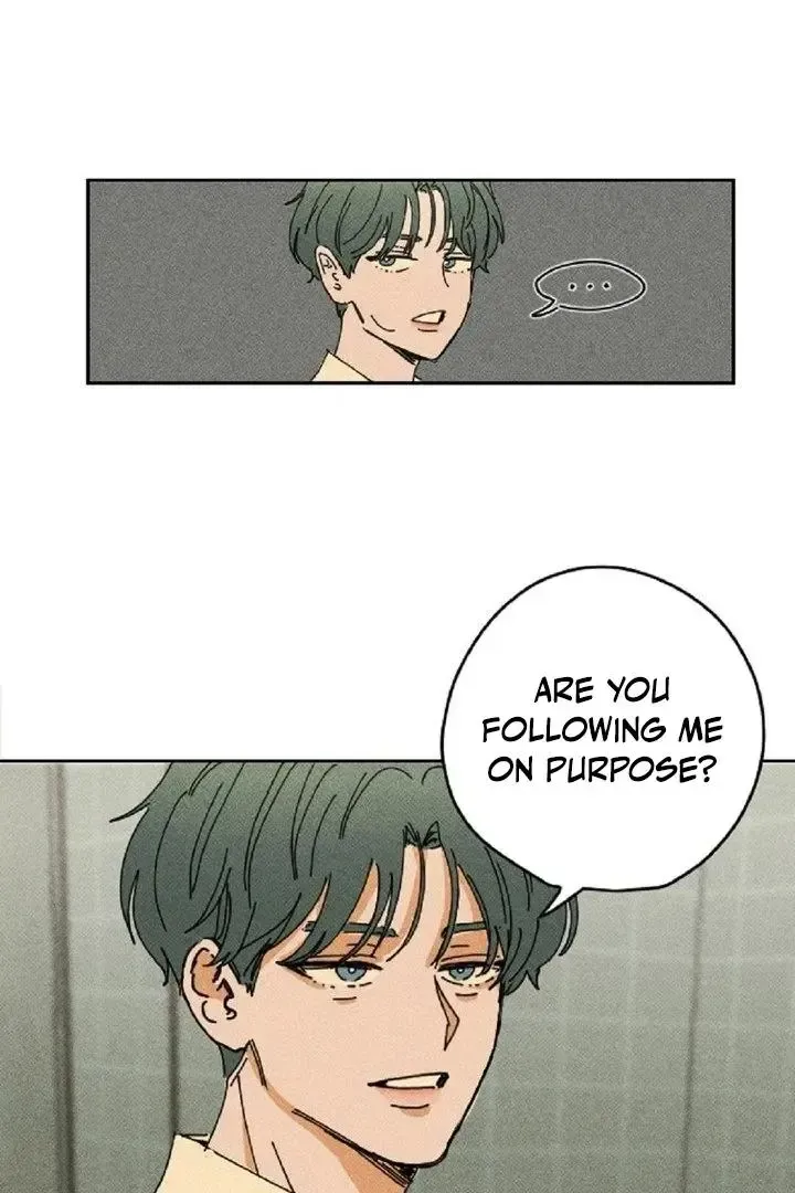Read Plaything Senior chapter 3 image 5 on Lezhin
