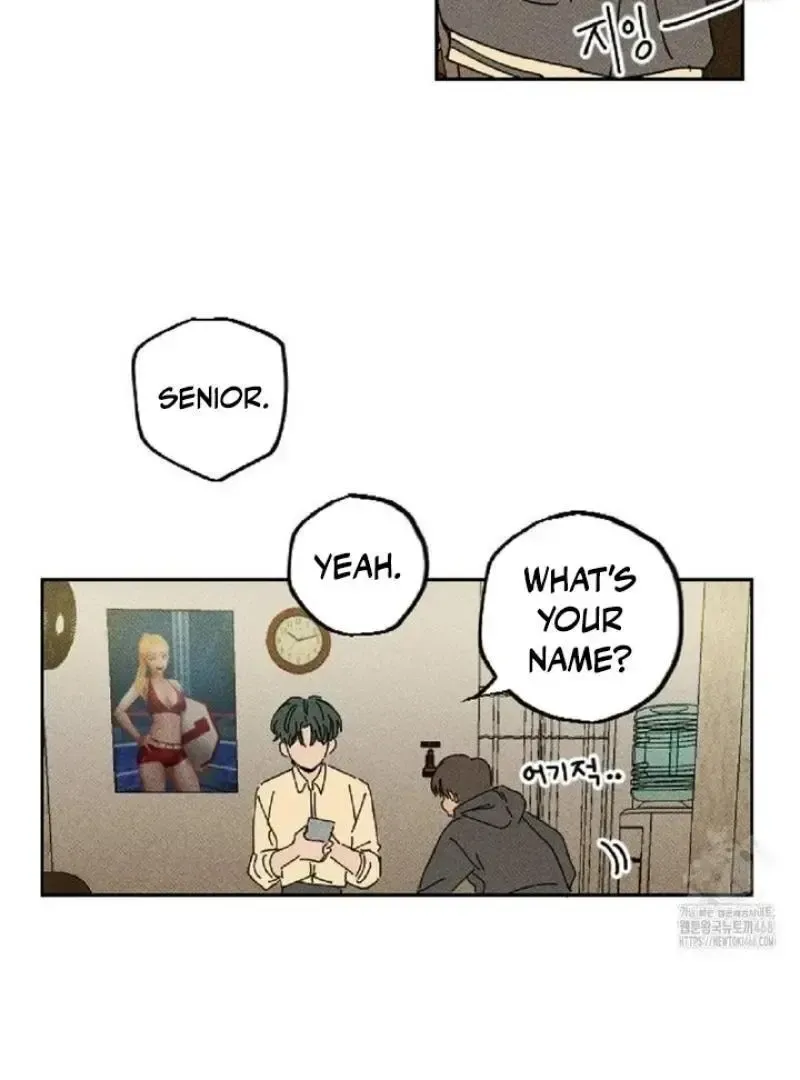 Read Plaything Senior chapter 5 image 22 on Lezhin