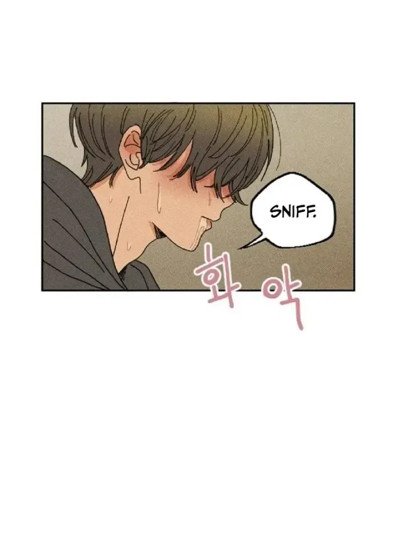 Read Plaything Senior chapter 5 image 5 on Lezhin