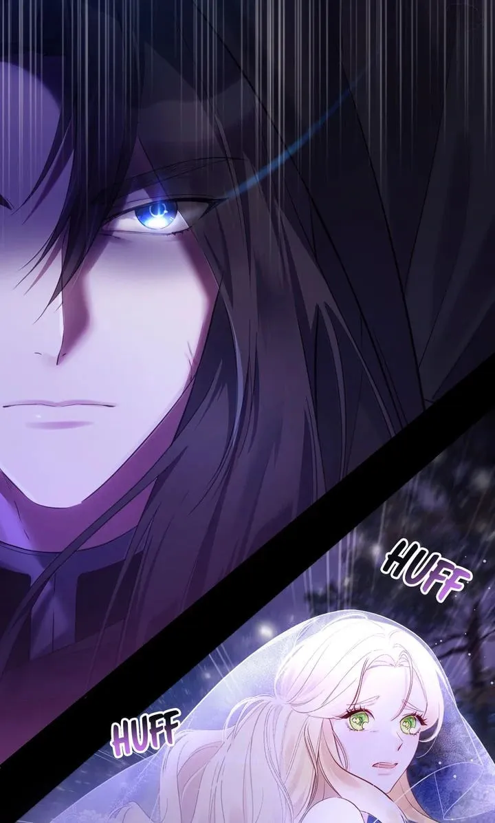 Read Please Answer Me chapter 1 image 31 on Lezhin