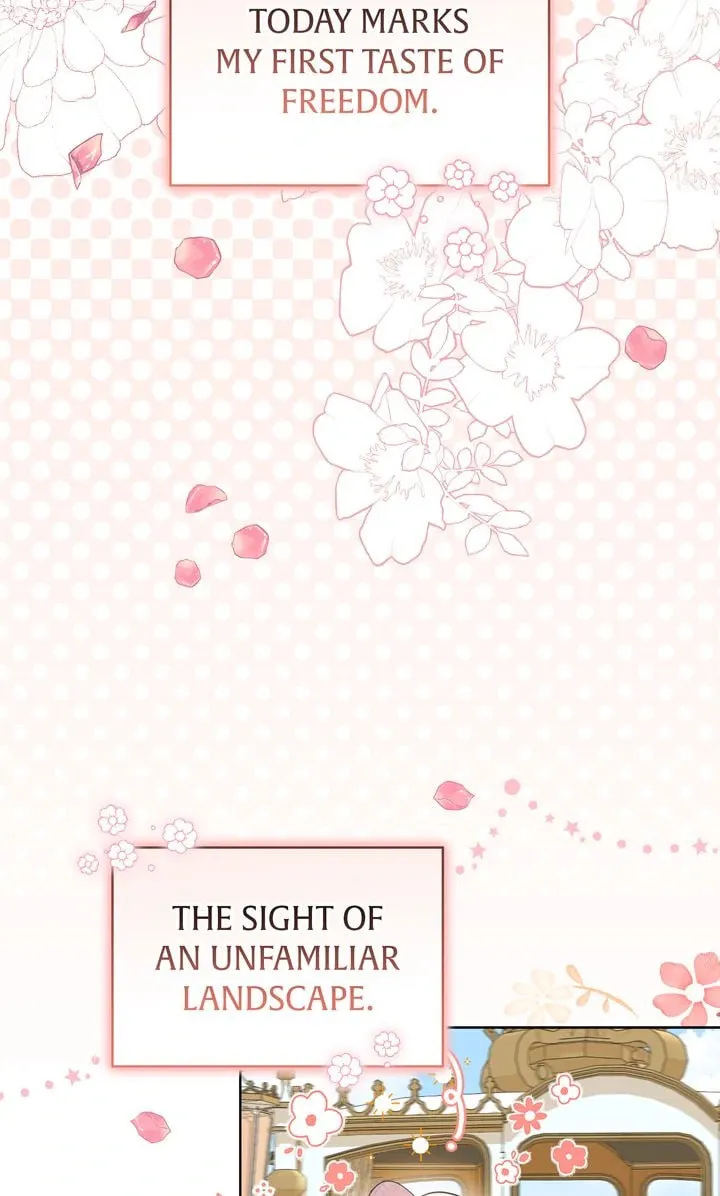 Read Please Answer Me chapter 1 image 42 on Lezhin