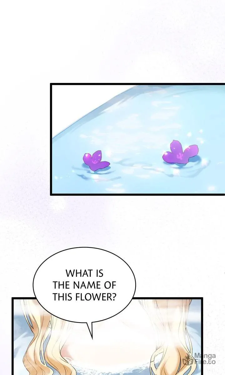 Read Please Answer Me chapter 21 image 71 on Lezhin