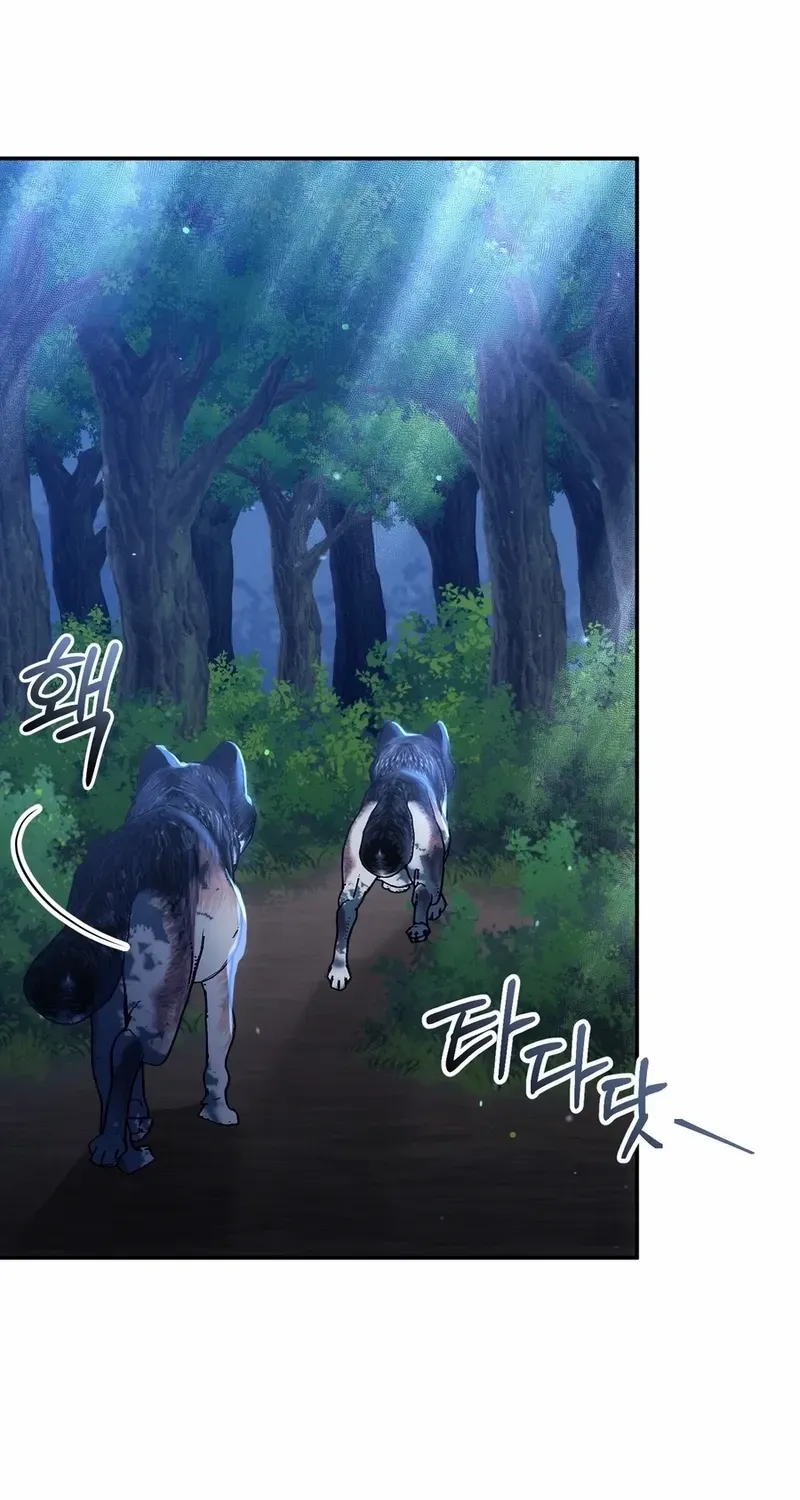 Read Please Answer Me chapter 39 image 20 on Lezhin