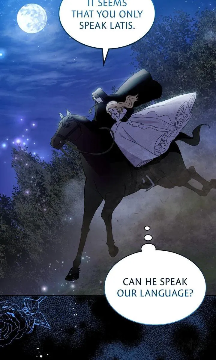 Read Please Answer Me chapter 5 image 14 on Lezhin