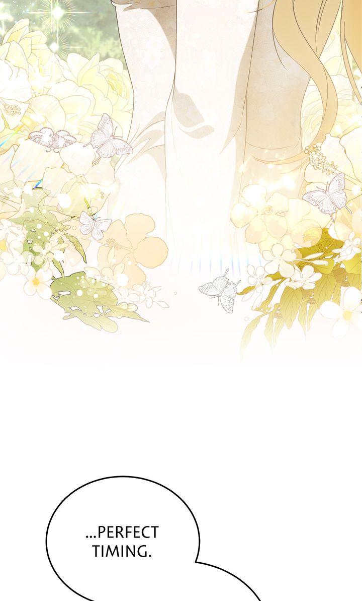 Read Please Answer Me chapter 53 image 77 on Lezhin