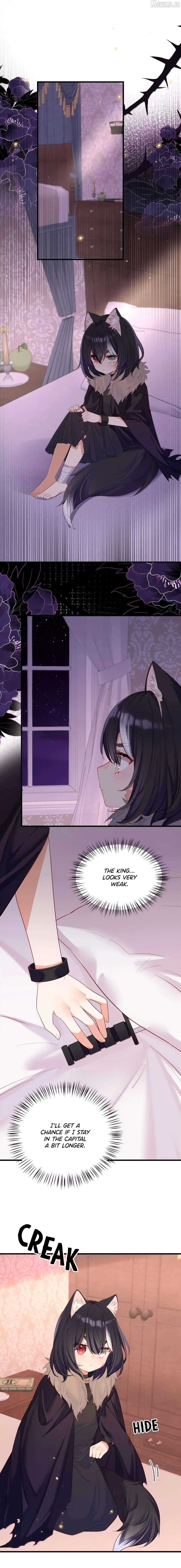 Please Bully Me, Miss Villainess! Chapter 155 page 10 - 