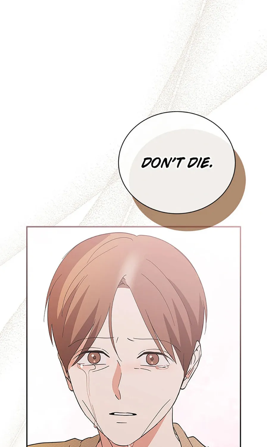 Read Please Divorce Me chapter 42 image 110 on Lezhin