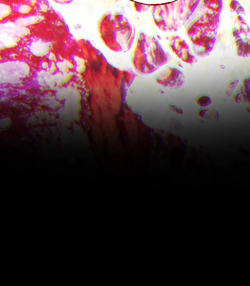 Read Please Don’t Die! chapter 17 image 63 on Lezhin