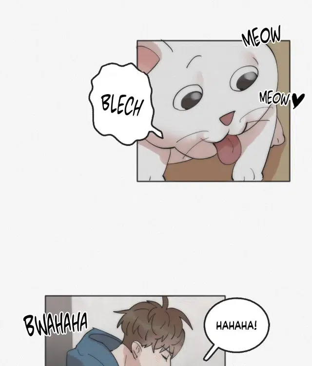 Read Please Feed Me, Sunbae chapter 1 image 61 on Lezhin