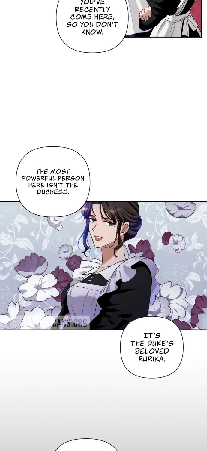 Please Kill My Husband Chapter 2 page 17 - 