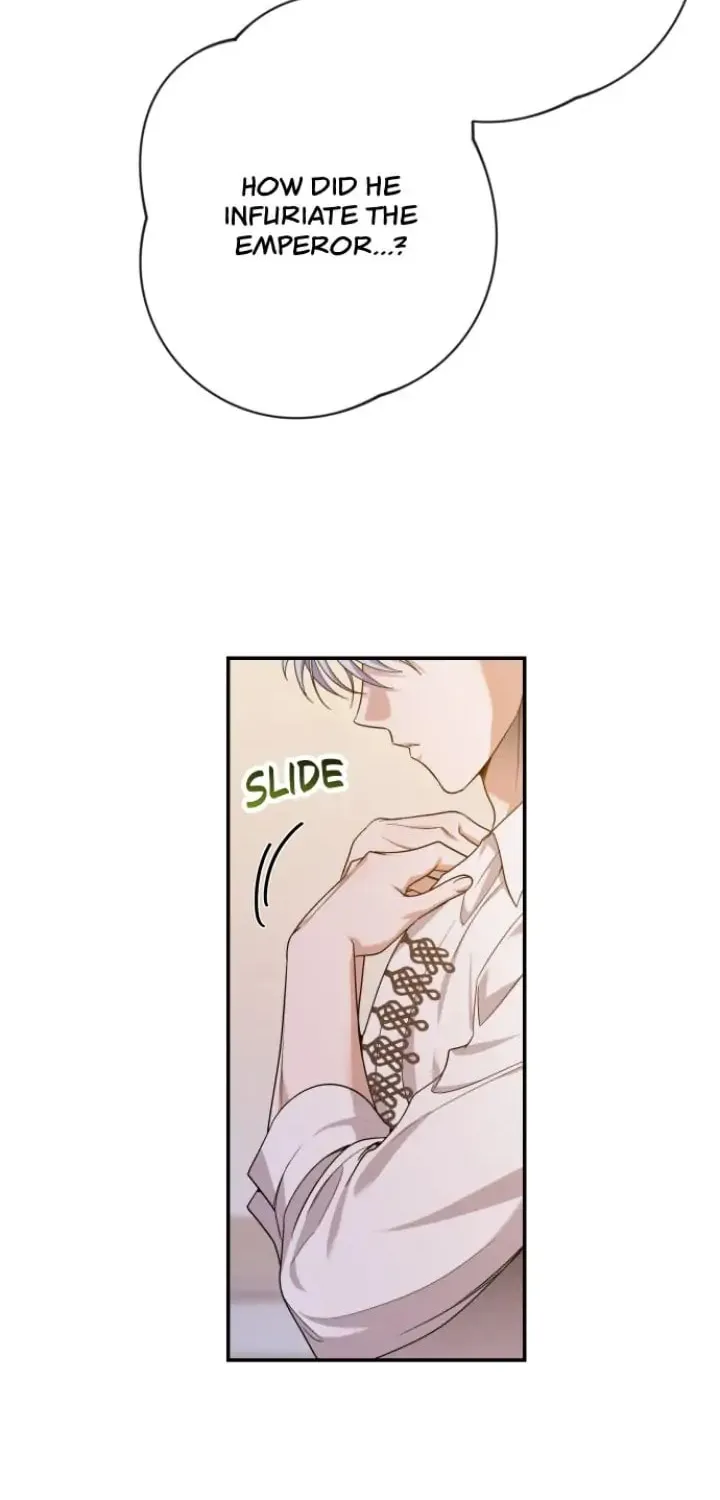 Please Kill My Husband Chapter 66 page 12 - 