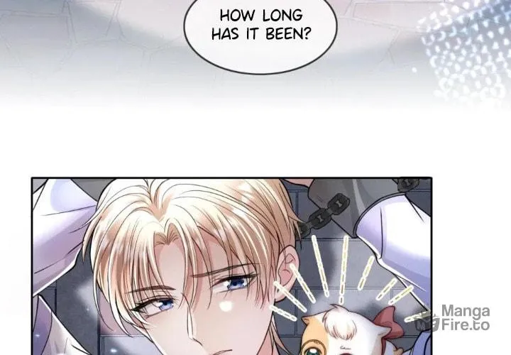 Read Please No Cure For Me chapter 1 image 37 on Lezhin
