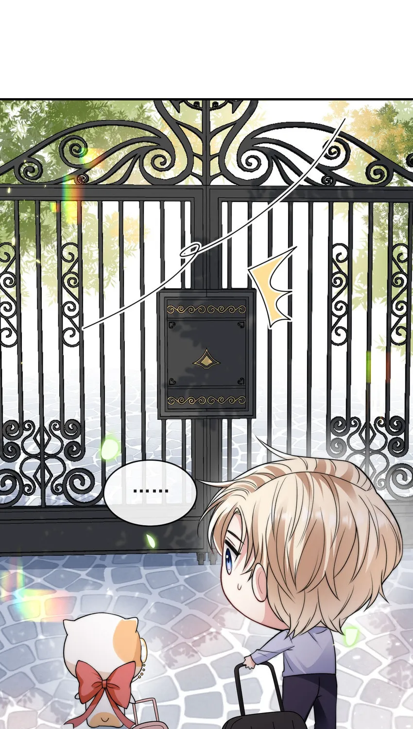 Read Please No Cure For Me chapter 6 image 17 on Lezhin