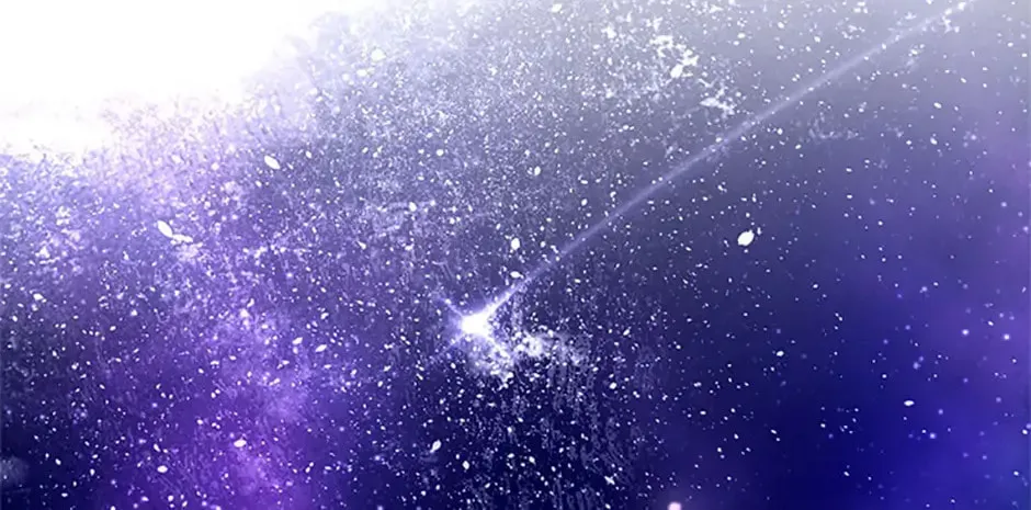Read Please Obsess Over Me chapter 59 image 97 on Lezhin