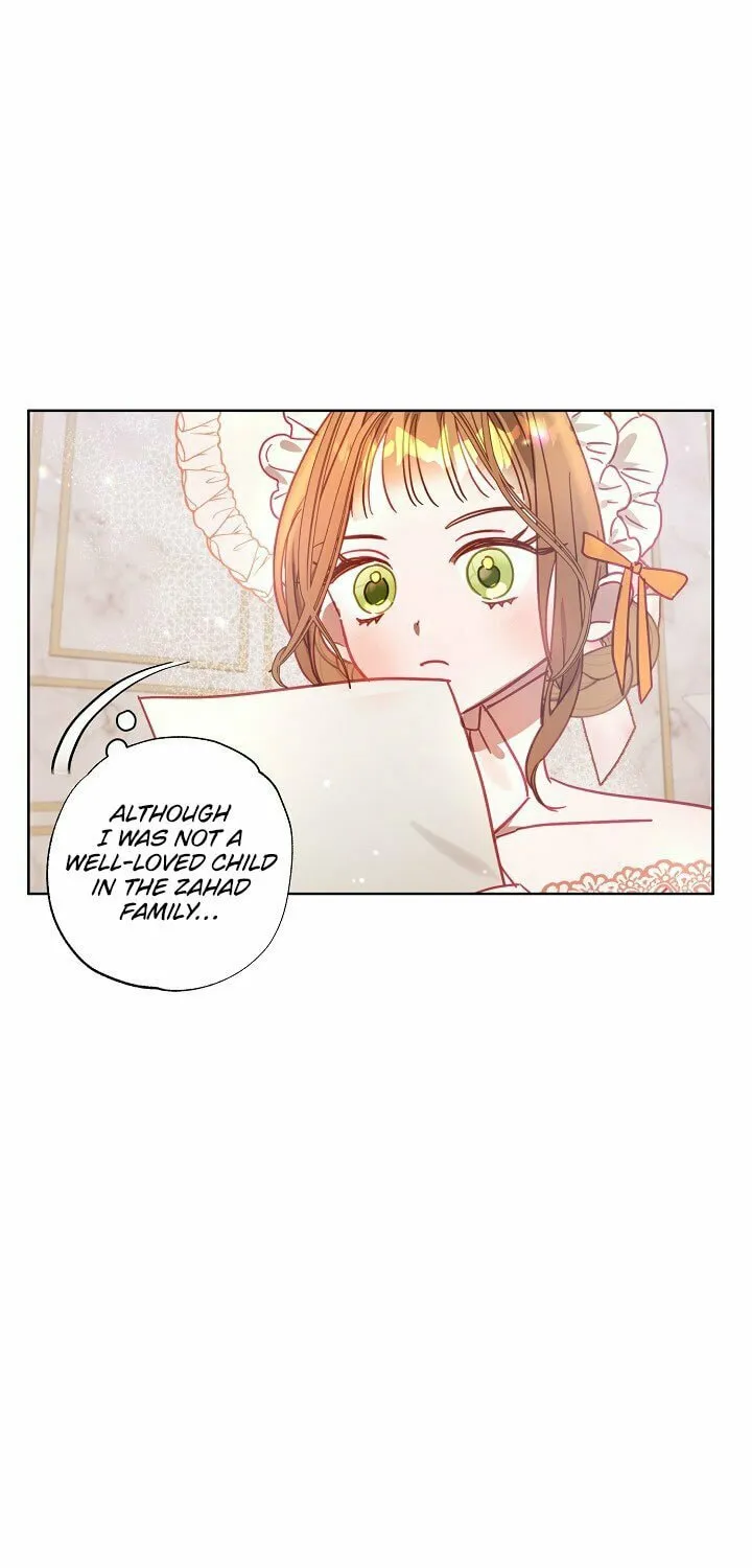 Please Sponsor My Revenge Chapter 11 page 19 - 