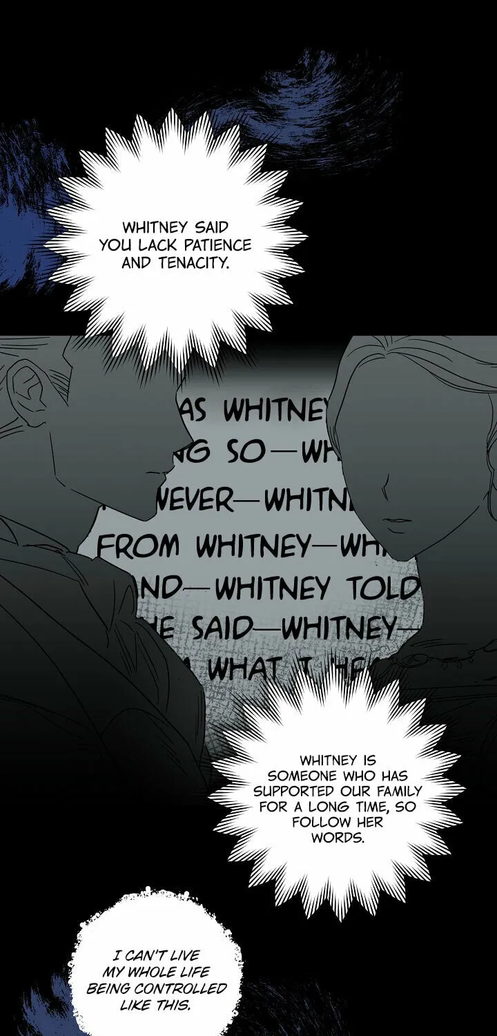 Please Sponsor My Revenge Chapter 4 page 6 - 