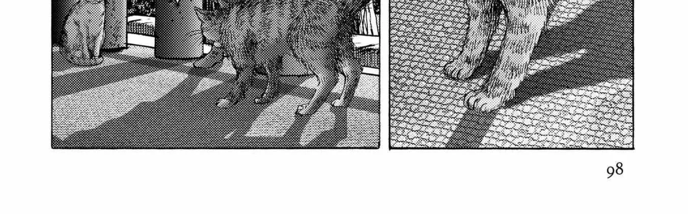 Read Plinivs chapter 25 image 34 on Lezhin