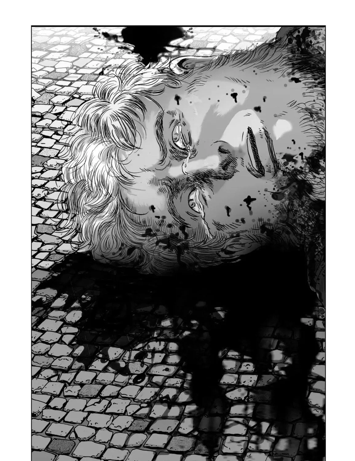 Read Plinivs chapter 70 image 46 on Lezhin