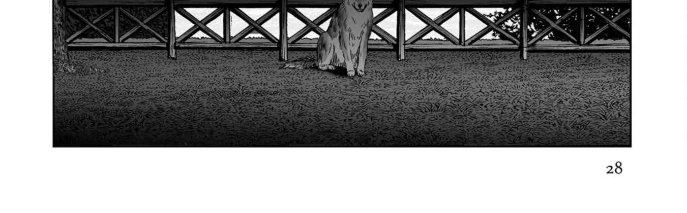 Read Plinivs chapter 71 image 56 on Lezhin